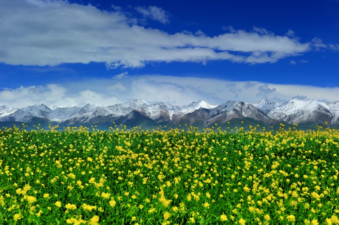 dsc_2397a.jpg