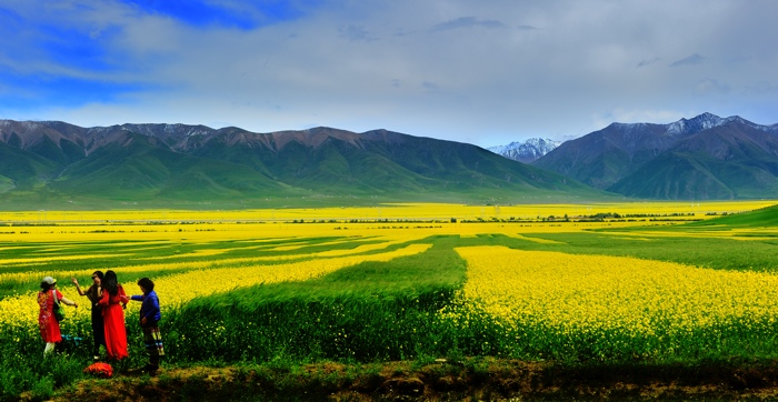 dsc_2401a.jpg
