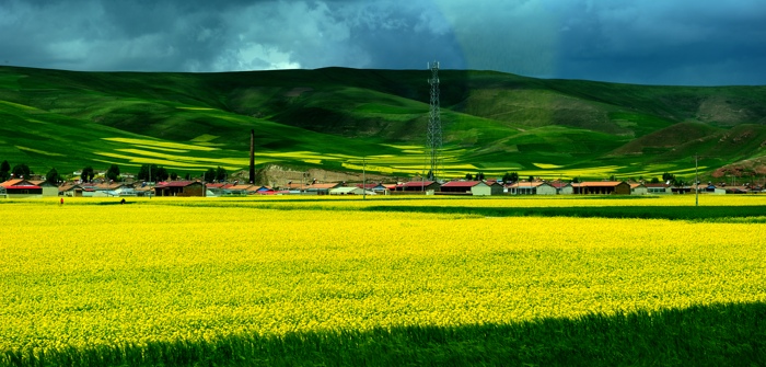 dsc_2402a.jpg