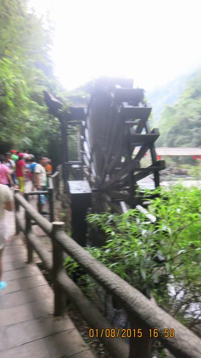 img_5705.jpg