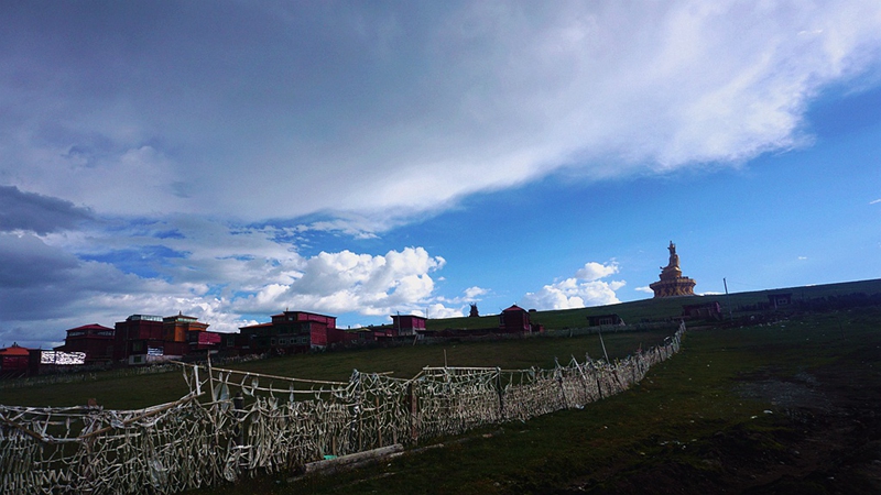 dsc00798_.jpg