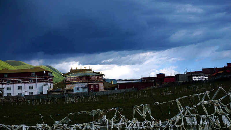 dsc00799_.jpg