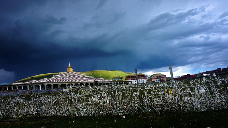 dsc00801_.jpg