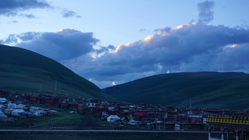 dsc00870_副本.jpg