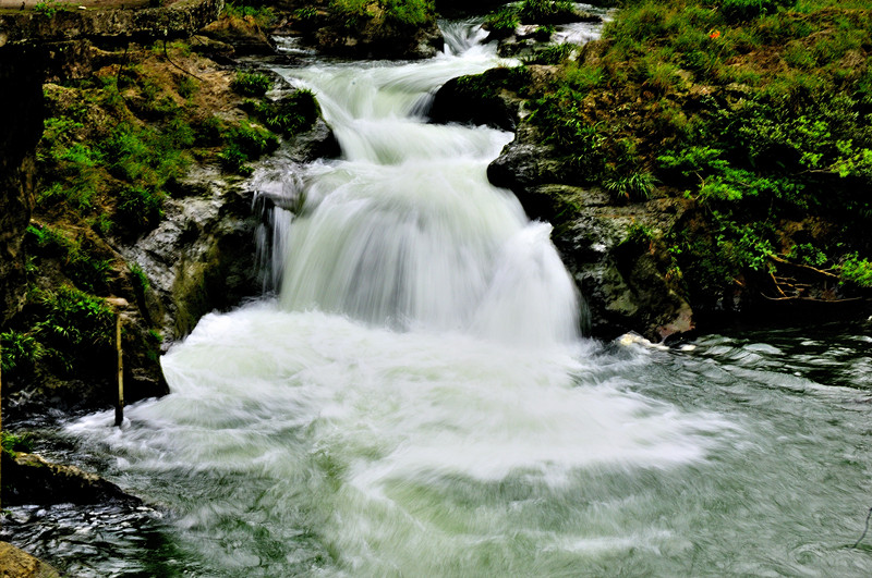 _dsc8207_.jpg