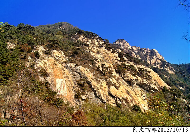 dsc00141.jpg