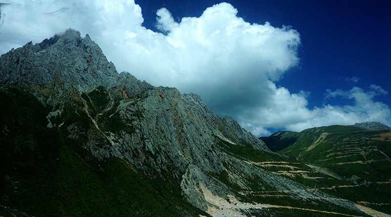 dsc00957_.jpg