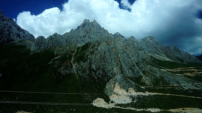 dsc00958_.jpg
