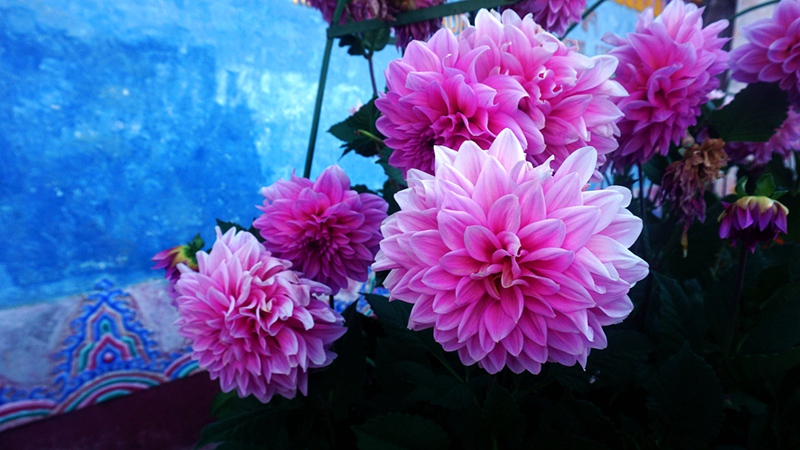 dsc01104_.jpg