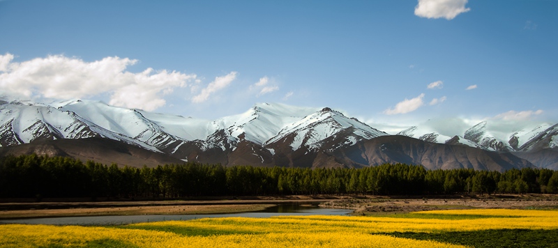 _dsc4431_.jpg