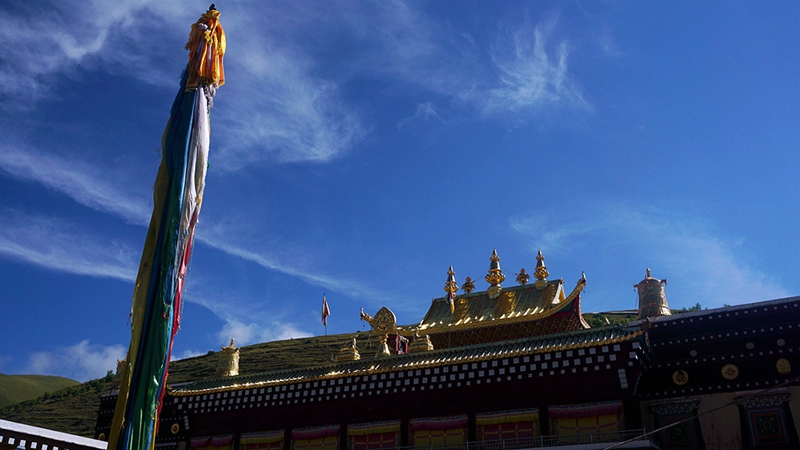 dsc01206_.jpg