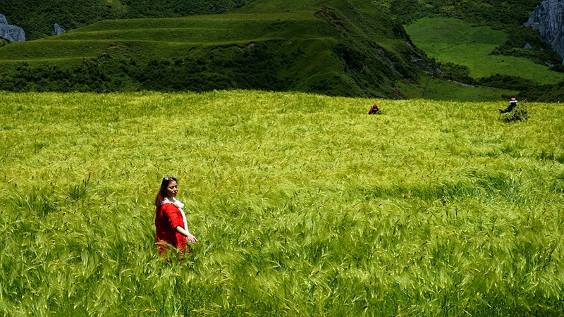 dsc01359_.jpg