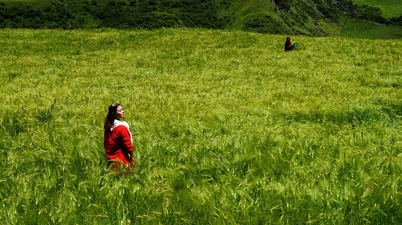 dsc01361_.jpg