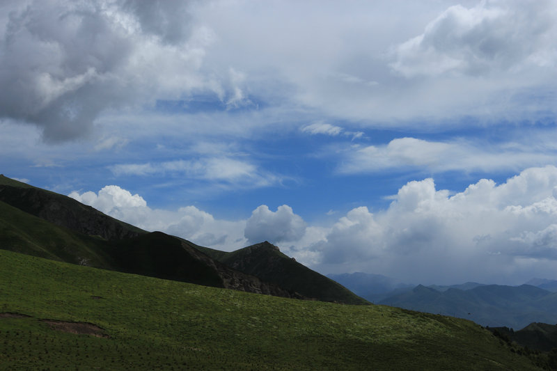 img_5060.jpg