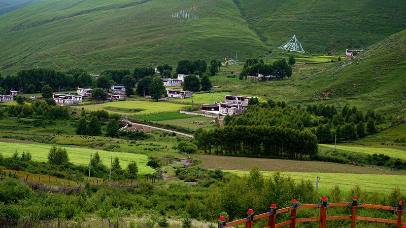 dsc01410_.jpg