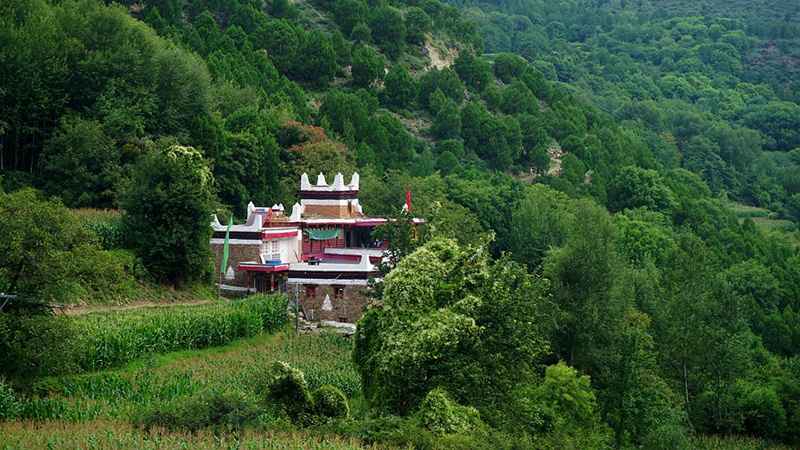 dsc01454_.jpg