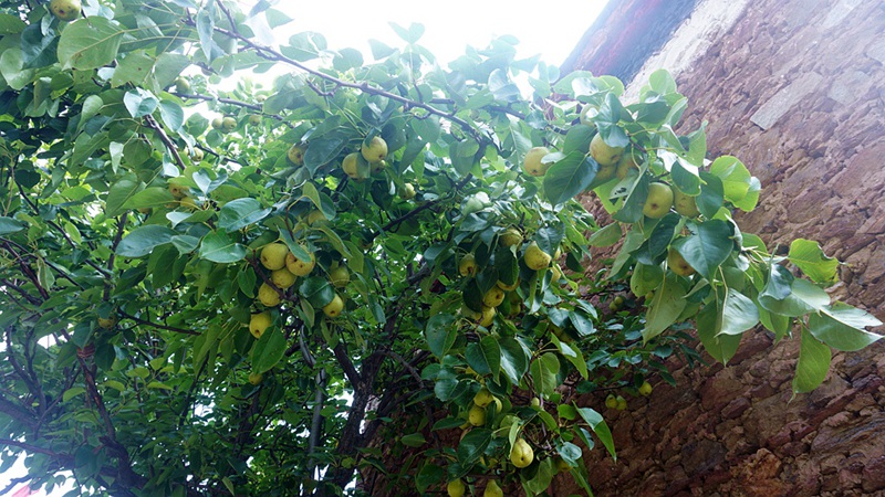 dsc01552_.jpg