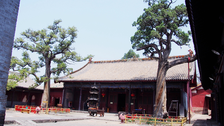 p1011499_.jpg