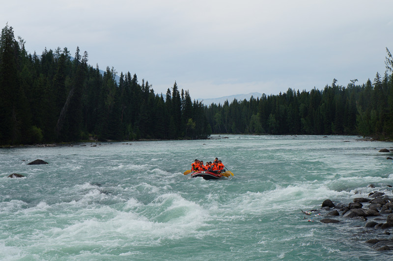 dsc02253_.jpg