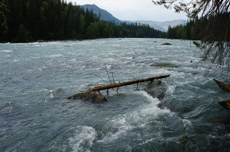 dsc02263_.jpg