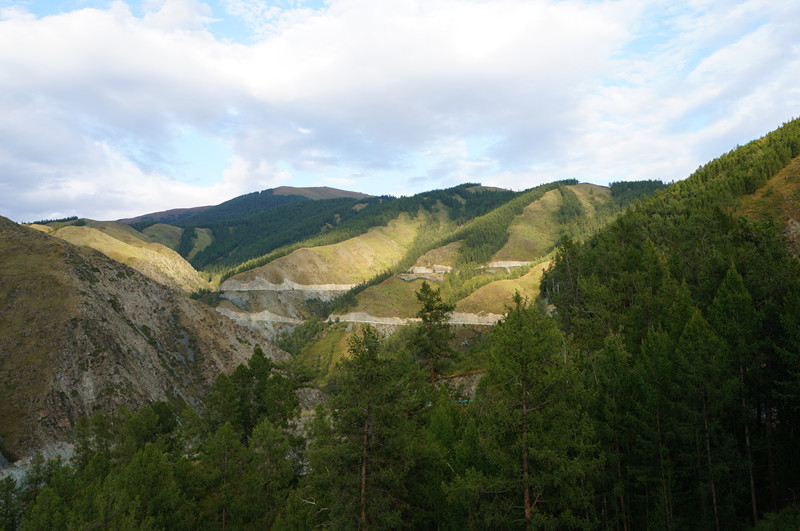 dsc01950_.jpg