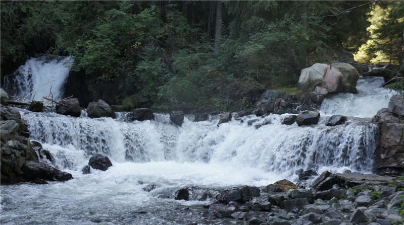 dsc03392_.jpg