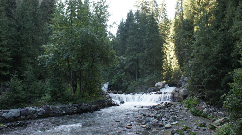 dsc03380_.jpg