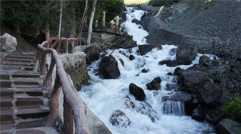 dsc03511_.jpg