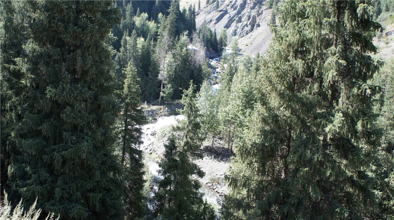 dsc03517_.jpg