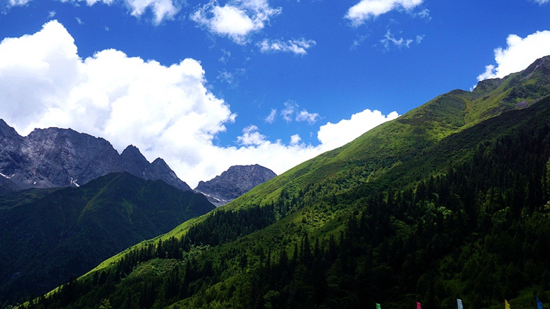 dsc01782_副本.jpg
