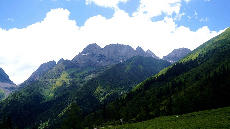 dsc01788_副本.jpg