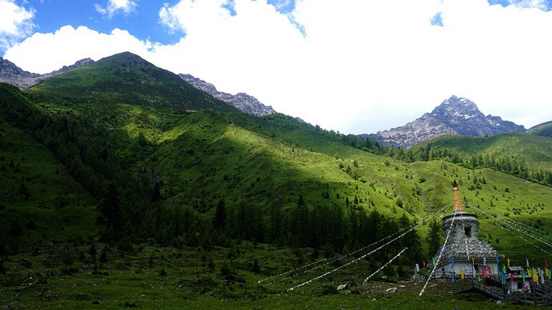 dsc01790_副本.jpg