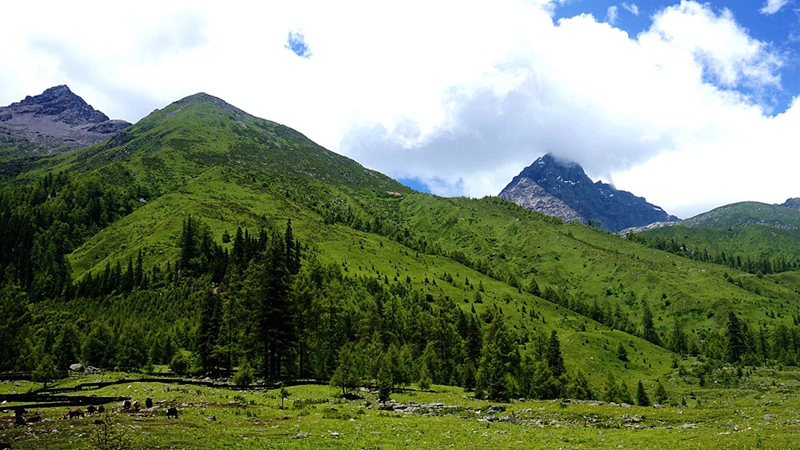 dsc01801_副本.jpg