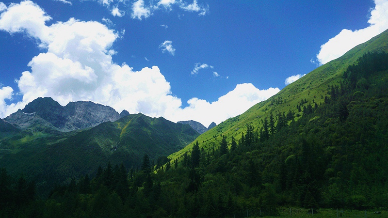 dsc01811_副本.jpg