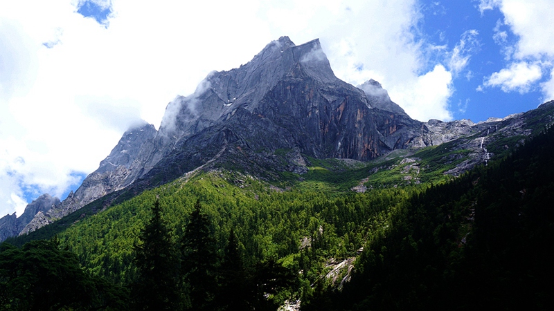 dsc01818_副本.jpg