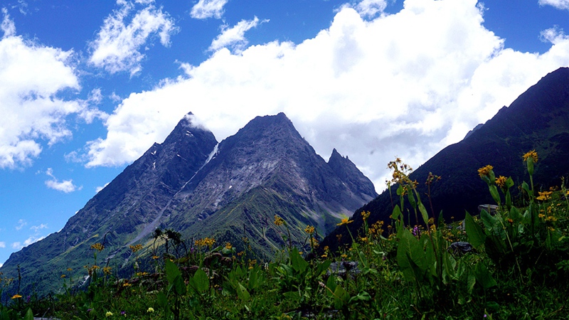dsc01819_.jpg