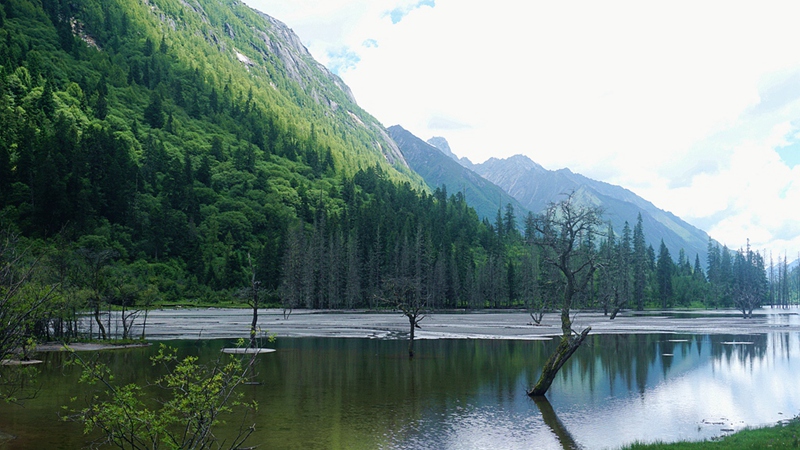 dsc01842_.jpg