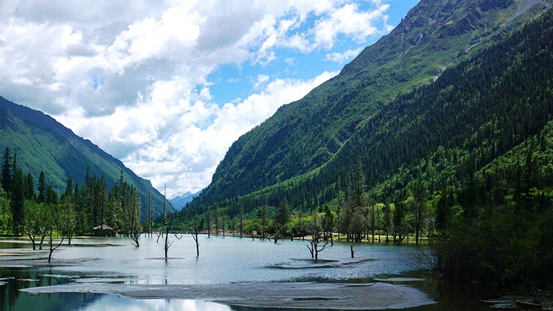 dsc01845_.jpg