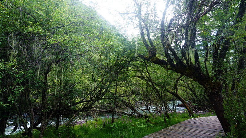 dsc01828_.jpg