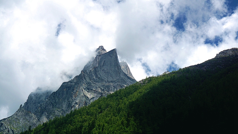 dsc01835_.jpg