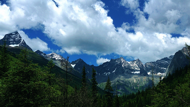 dsc01837_.jpg