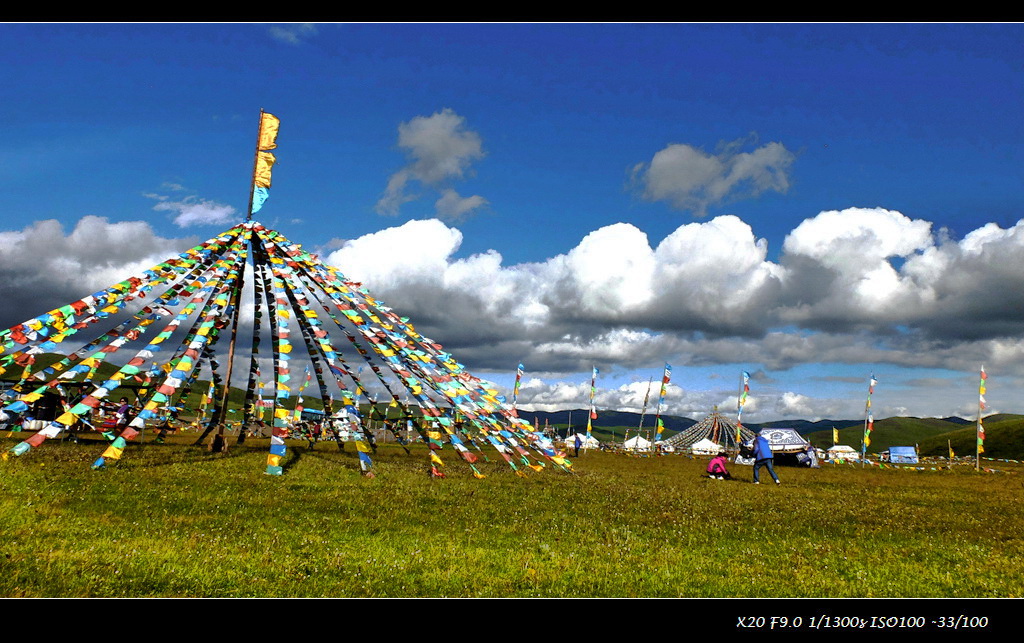 010-1.jpg