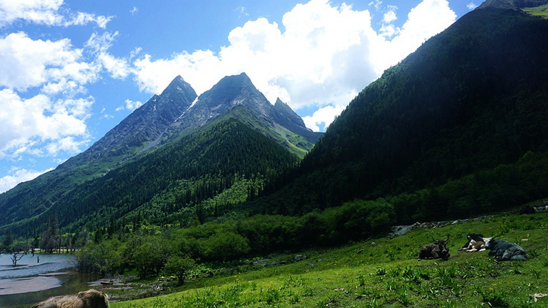 dsc01846_.jpg