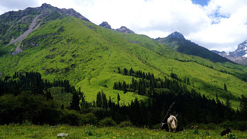dsc01848_.jpg