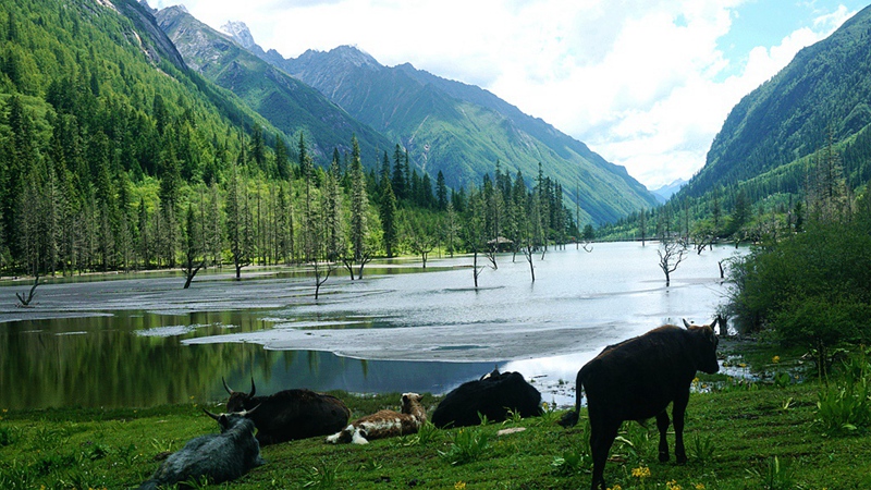 dsc01850_.jpg