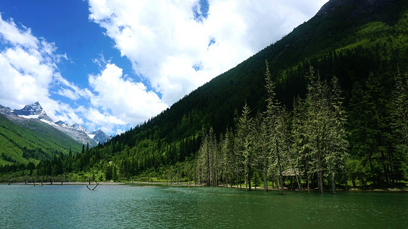 dsc01854_.jpg