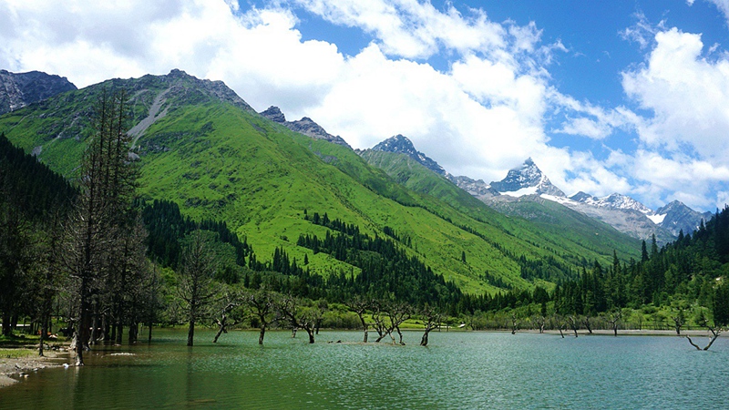 dsc01855_.jpg