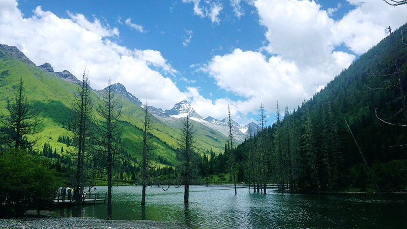 dsc01859_副本.jpg