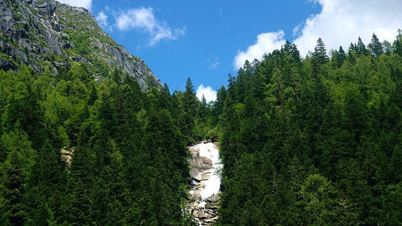 dsc01882_副本.jpg