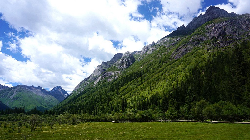 dsc01895_副本.jpg